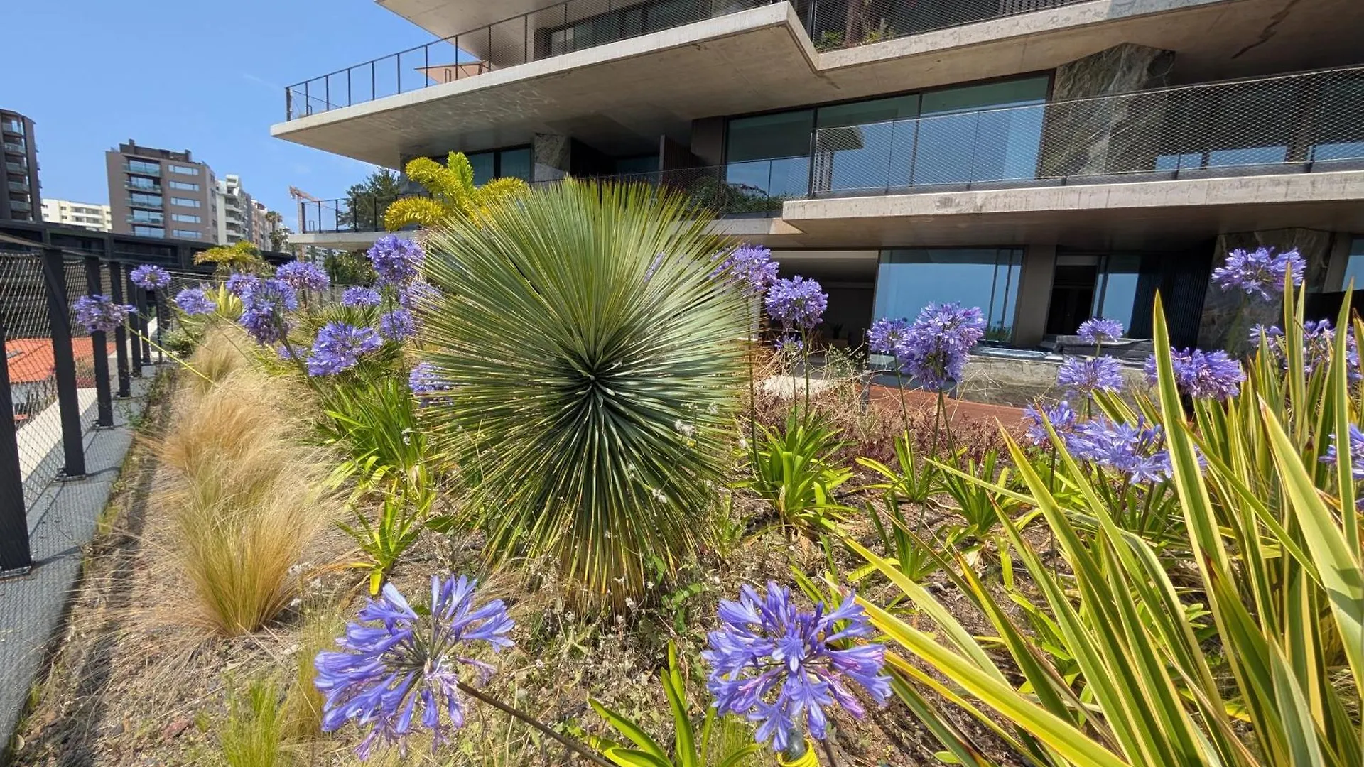 Savoy Residence One Bedroom With Jaccuzzi - Style And Sophistication Φουνκάλ Πορτογαλία